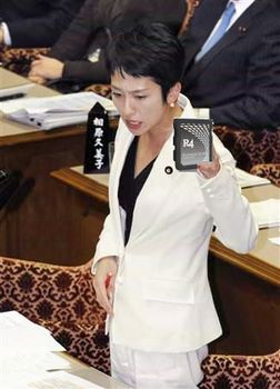 蓮舫「マジコンは仕分けしません!」 蓮舫「マジコンは仕分けしません!」